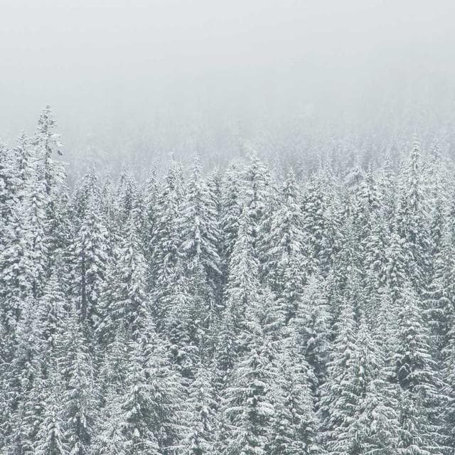 Industrial High Bay Light 150W UFO