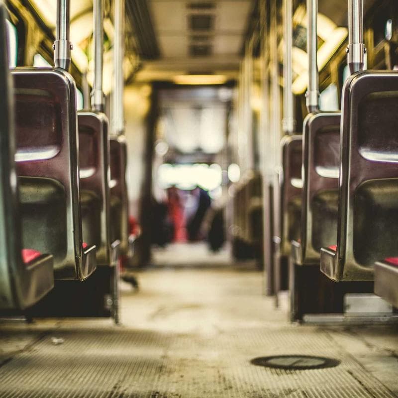 Wholesale Maize & Corn - Ready to Ship